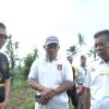 Irigasi Subak Penaban Rusak, Wabup Pandu Dorong Perbaikan untuk Jaga Produksi Pangan