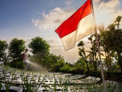 Maknai Hari Kemerdekaan, Gus Par–Guru Pandu Hadirkan Kemerdekaan Nyata bagi Petani Kubu