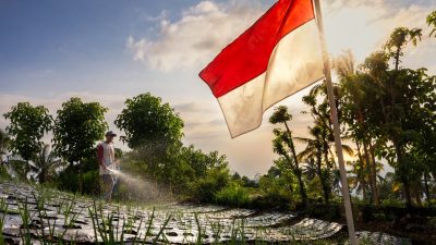 Maknai Hari Kemerdekaan, Gus Par–Guru Pandu Hadirkan Kemerdekaan Nyata bagi Petani Kubu