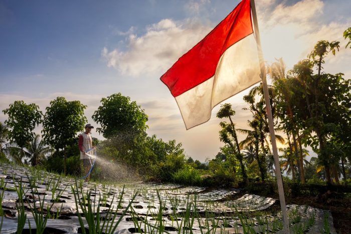 maknai-hari-kemerdekaan-gus-par-guru-pandu-hadirkan-kemerdekaan-nyata-bagi-petani-kubu