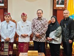 Perkuat Diplomasi Ekonomi, Pemprov Bali Buka Peluang Investasi Eropa di Sektor Kesehatan