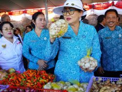 Putri Koster Borong Hasil Petani, Nyalakan Mesin Ekonomi Kerakyatan dari Karangasem
