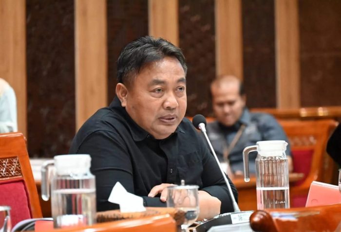 parta-desak-kapolri-ario-seto-bongkar-nominee-di-bali